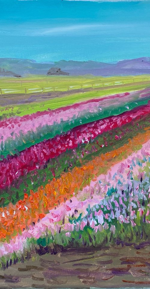 Dutch tulip season by Dmitry Fedorov