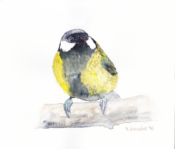 Watercolour birds portraits series. Chickadee Bird N2