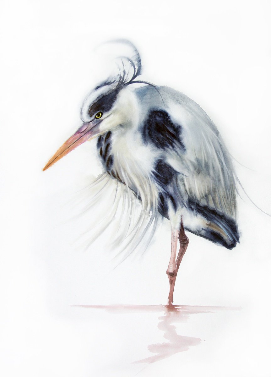 Grey heron - 16,9 x 23 in (43 x 60 cm) - Grey Heron Original Watercolor by Olga Beliaeva Watercolour