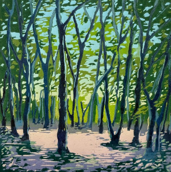 Soft Dusk, Highgate Wood