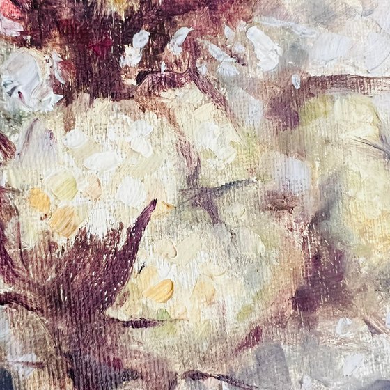 Cotton Blossoms