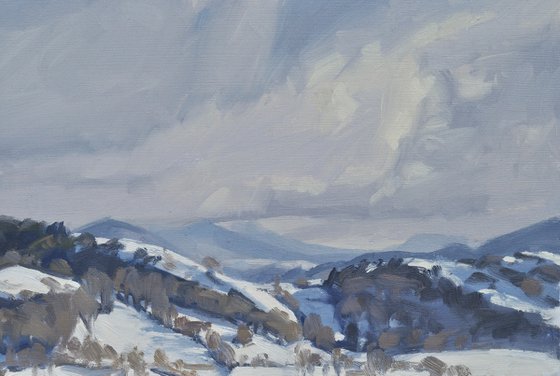 January 19, snow on the Monts du Velay