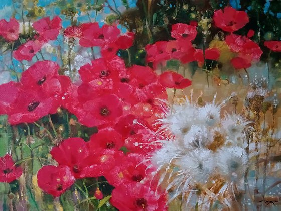 Poppies in the Field