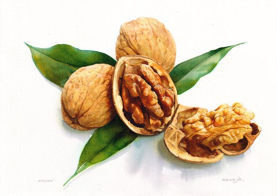 Walnut