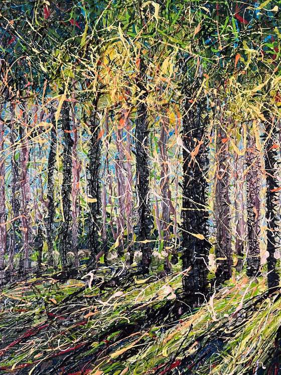 Spring Forest Light