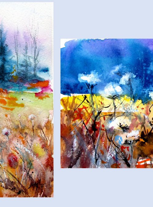 On the field collection by Kovács Anna Brigitta