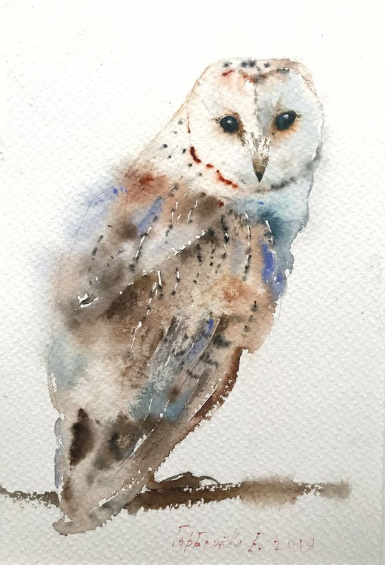 Owl on a branch - 19 x 28 cm