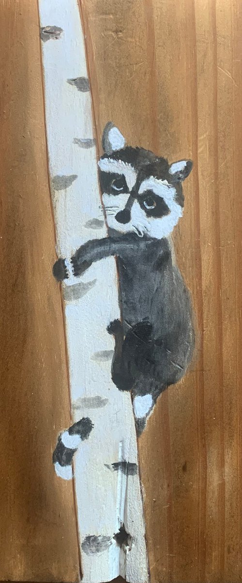 Raccoon by Paul Simon Hughes