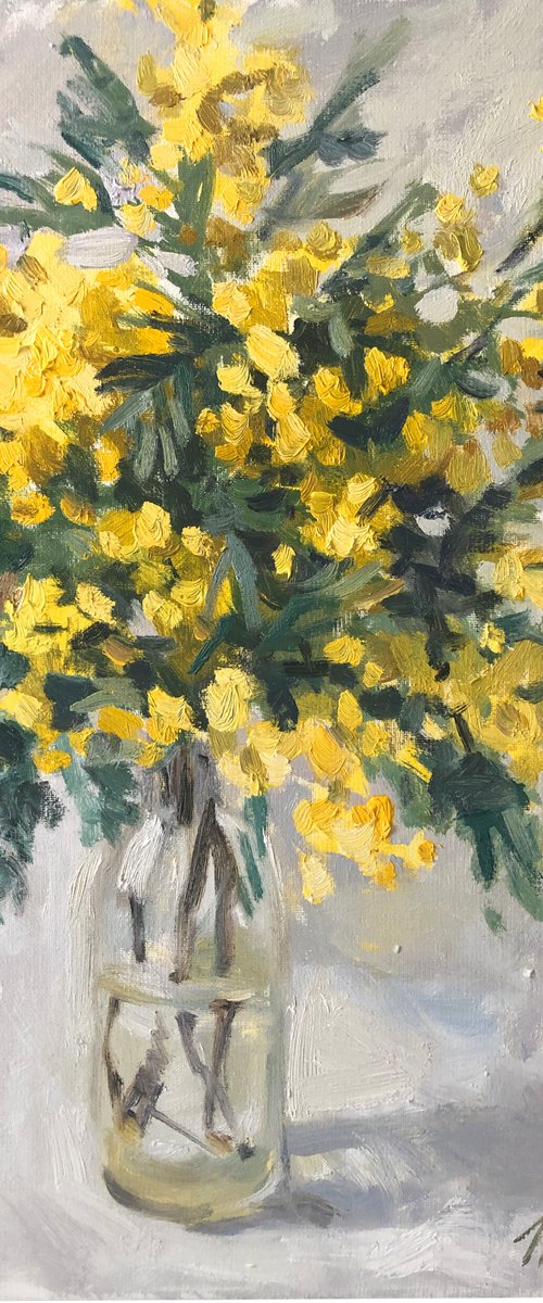 Mimosa flowers by Nataliia Nosyk