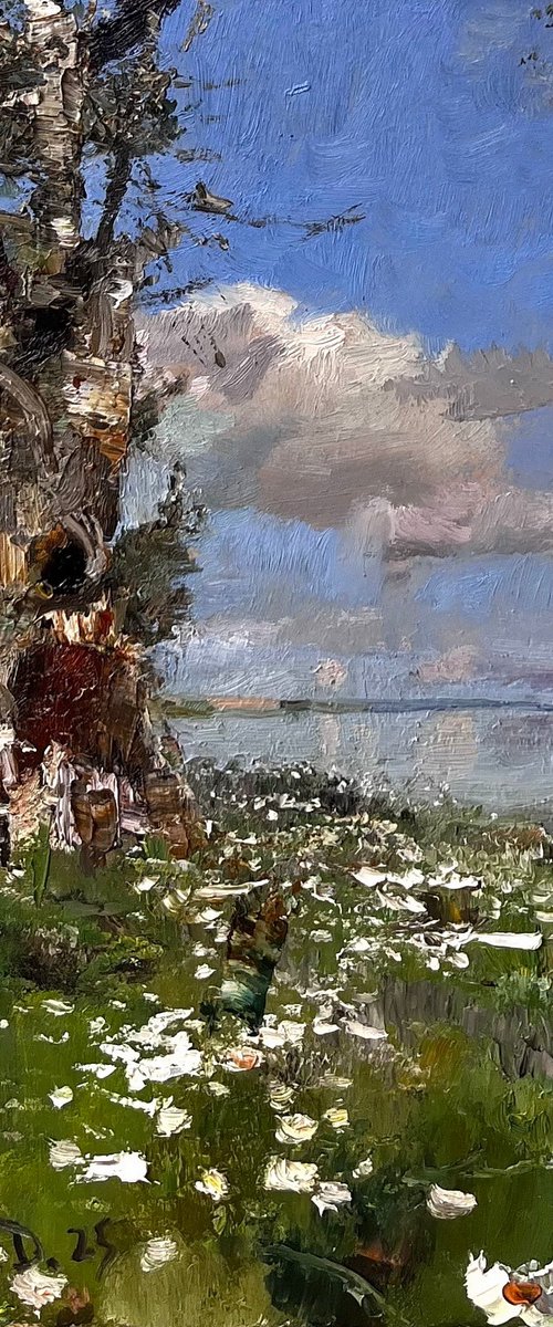 In summer by Denys Gorodnychyi