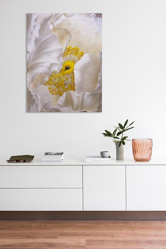 Peony, Soul of a Flower