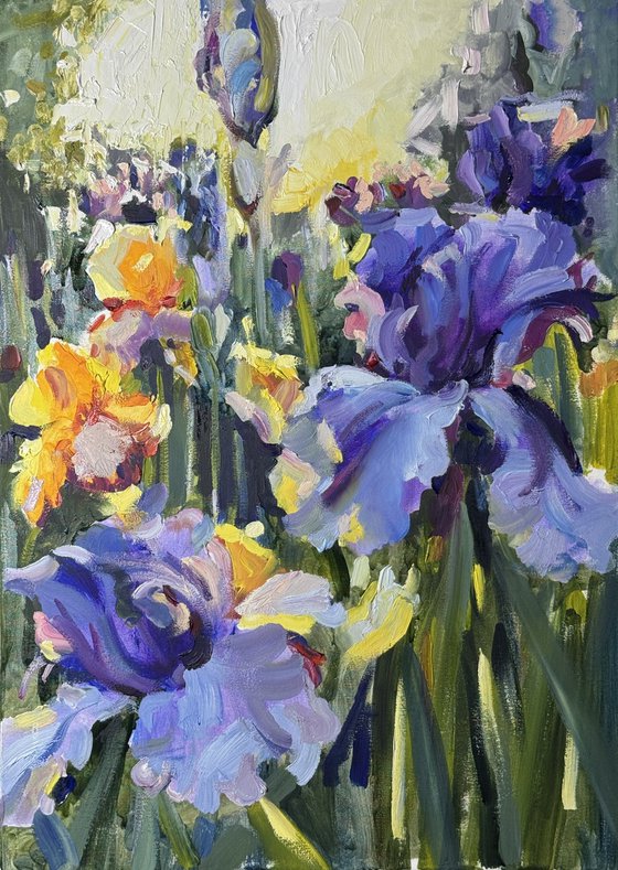 Beautiful irises are blooming in the garden