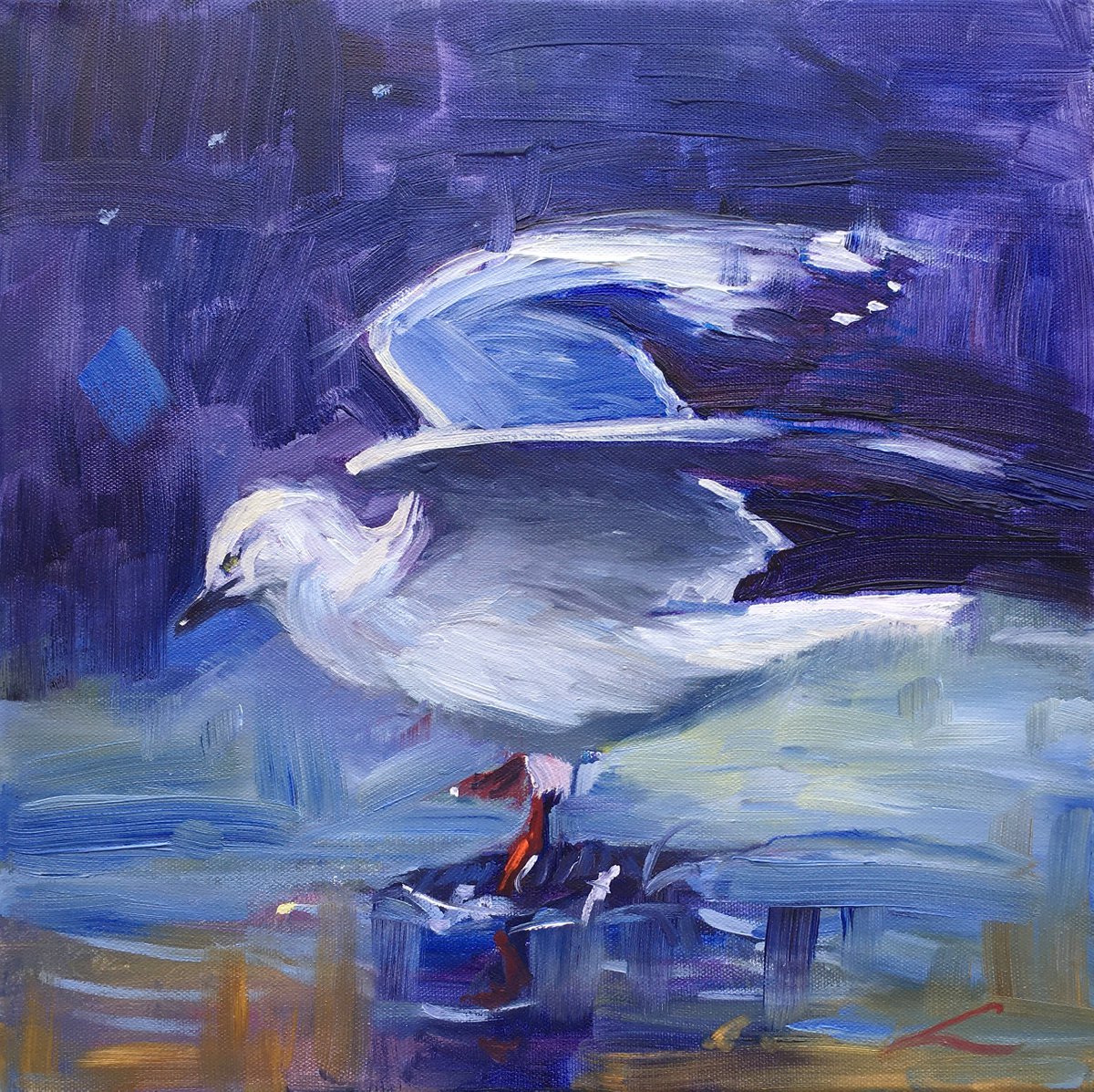 Impressionistic Animal Oil Painting By Elena Sokolova, 14 X 14, Dancing Seagull, Original Artwork