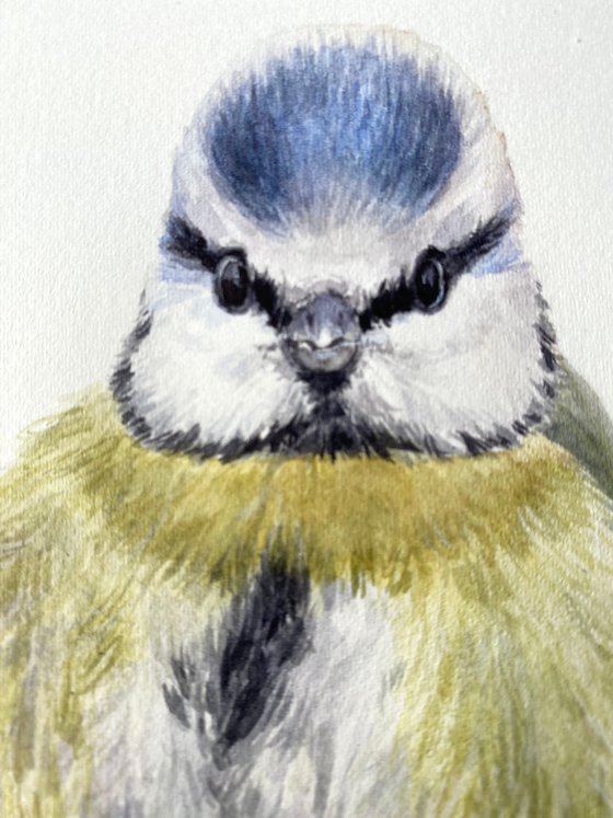 Nuthatch & Blue Tit (Set of 2)