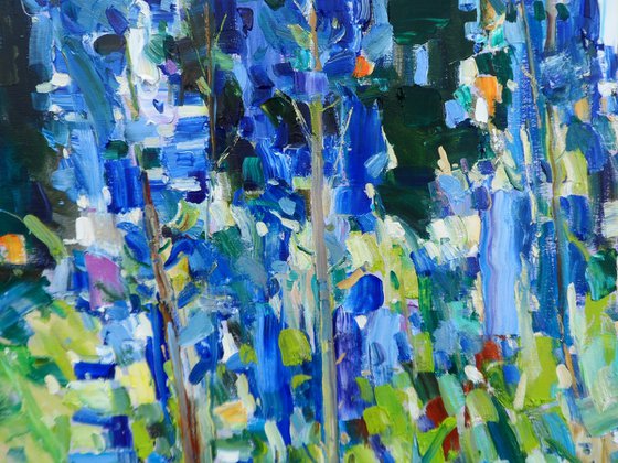 " Lupines in my garden"