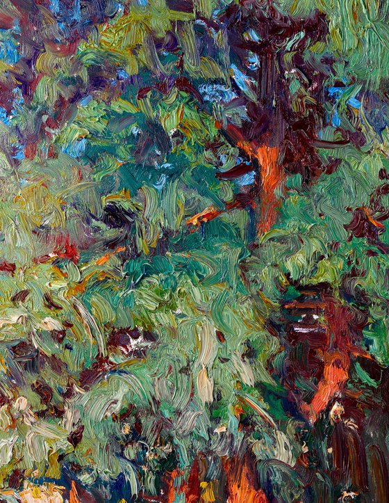 Cedars of Los Angeles