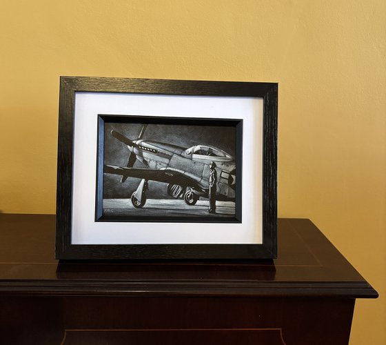 Monochrome medium P51 Mustang