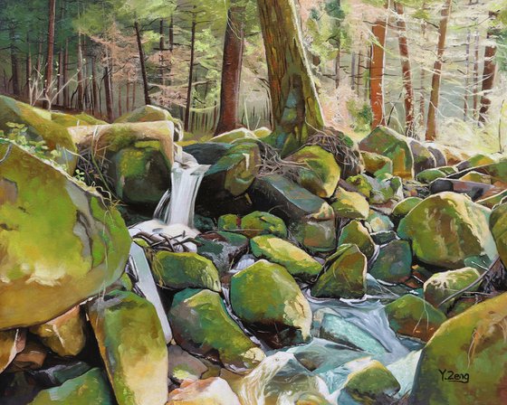 Creek rocks in forest