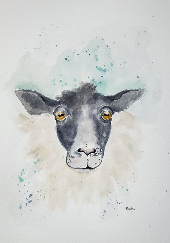 "Bewildered" - Sheep - Animals - Farm