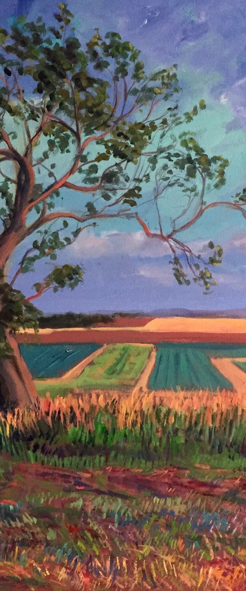 'Tree of Hope, Fife' by Stephen Howard Harrison