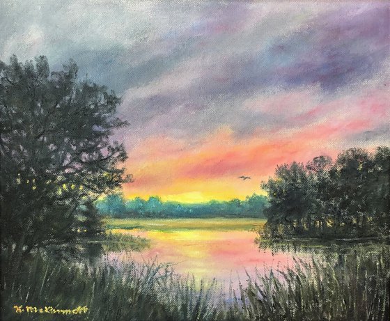 MARSH SKY SHOW by K. McDermott