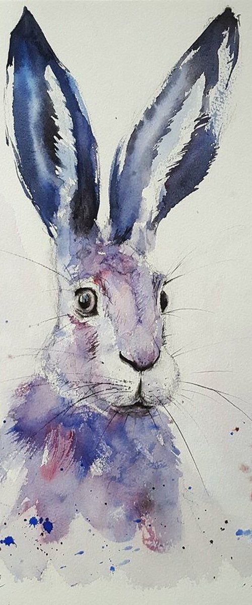 Blue Hare by Tomasz Mikutel