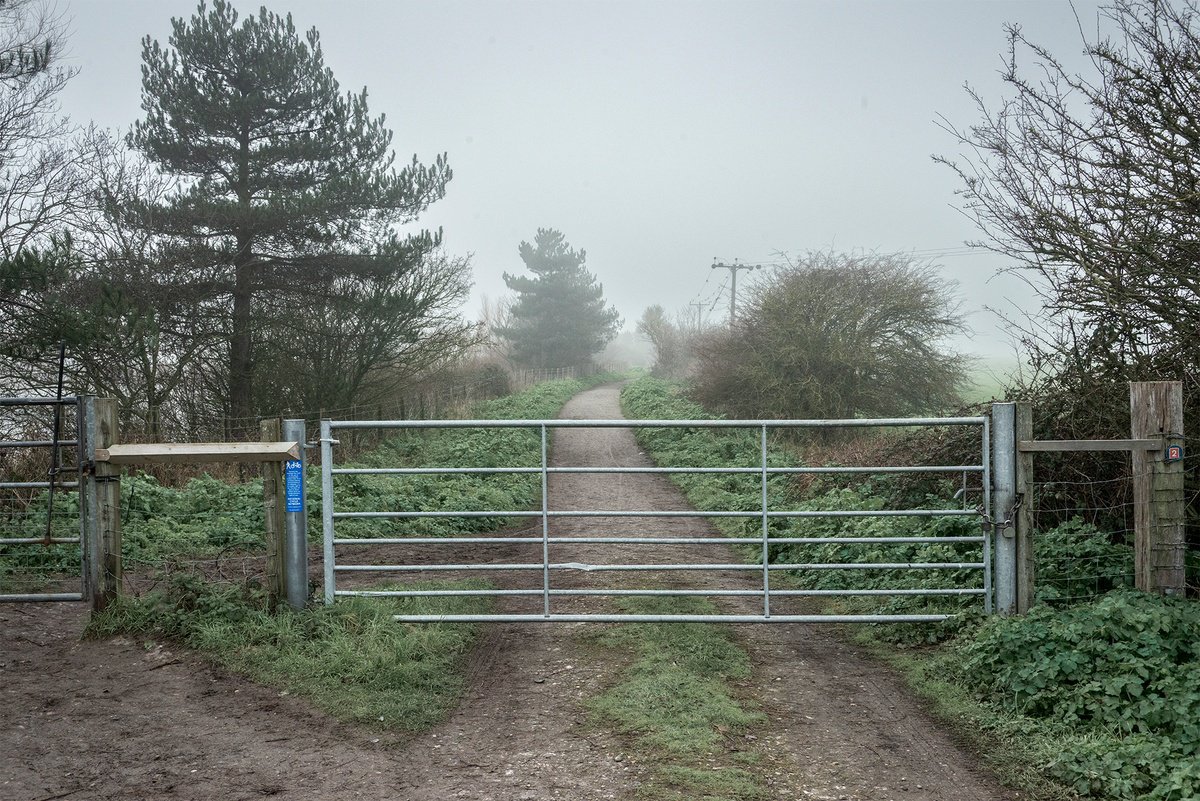 Seven Bar Gate by Adam Regan