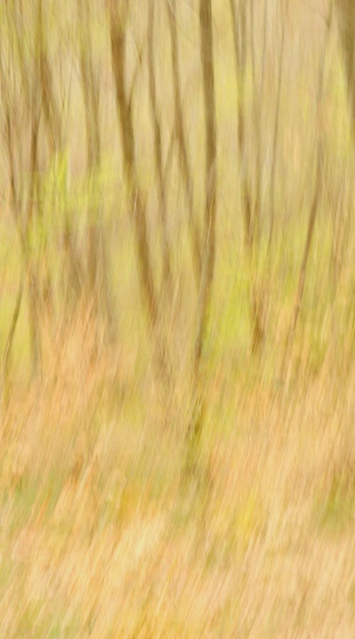 Après la pluie.... by PHILIPPE BERTHIER