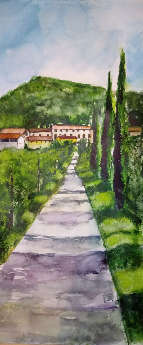 Sanguarzo. Italy by Jelena Nova