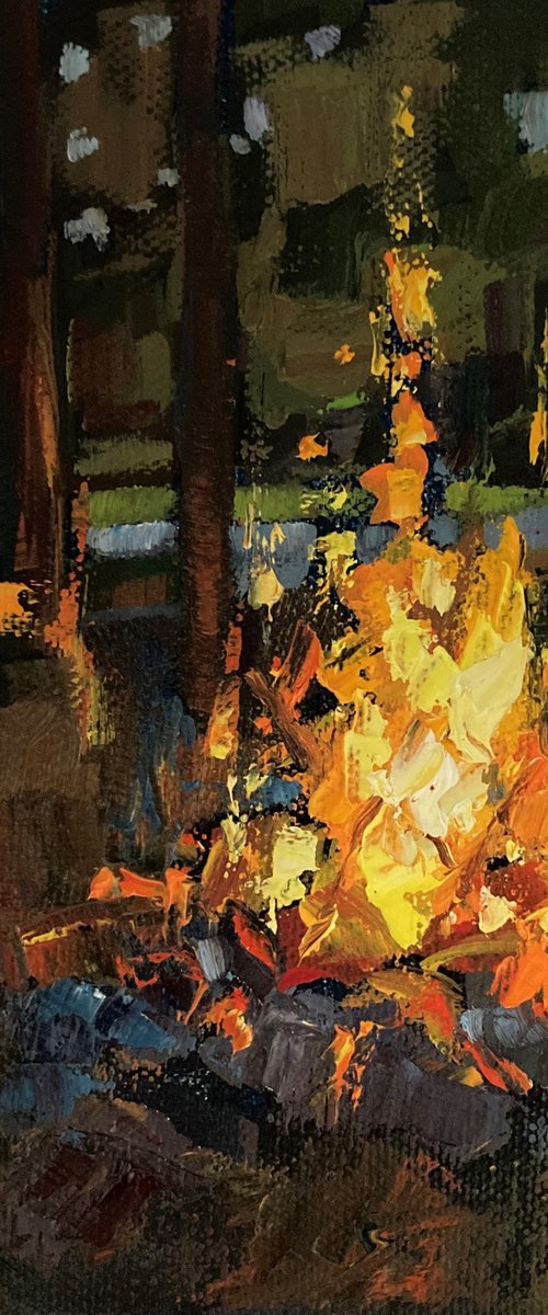 Stoking the Fire, Allegheny Forest by Jimmy Leslie