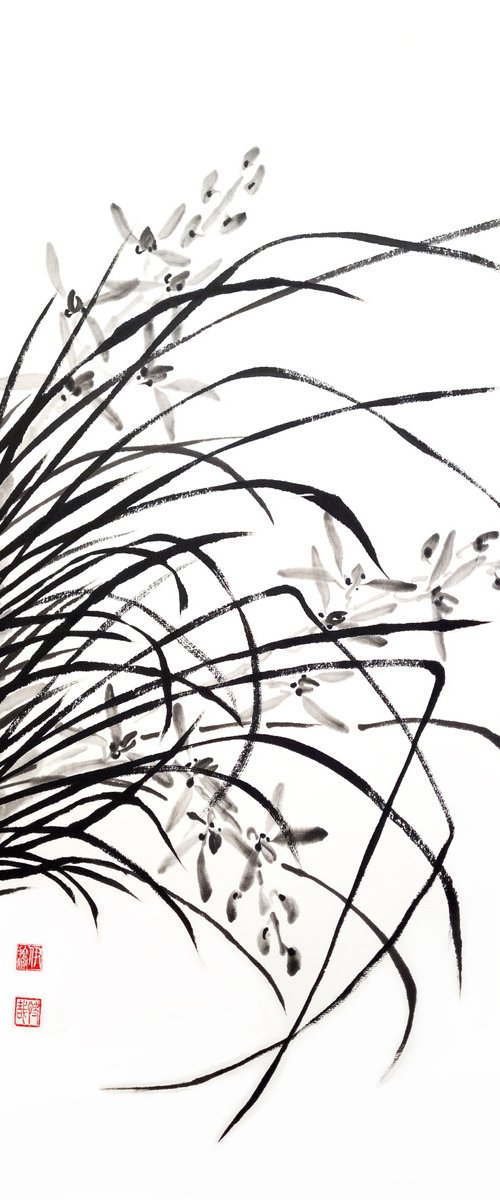 Ink monochromatic orchid grass by Ilana Shechter