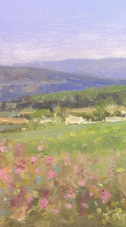 Fields in the Luberon by Pascal Giroud