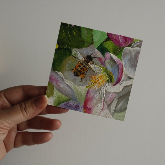 Bee on Pink Blossom