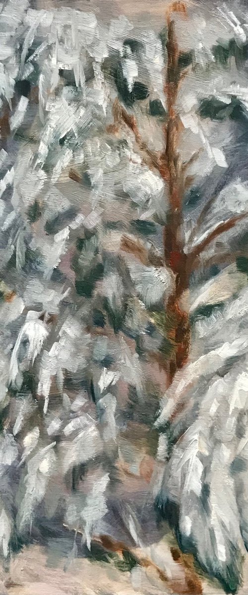 Snow spruce by Marina Deryagina