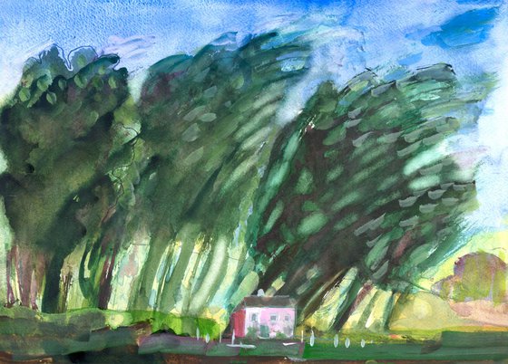 Pink Cottage in the Forest