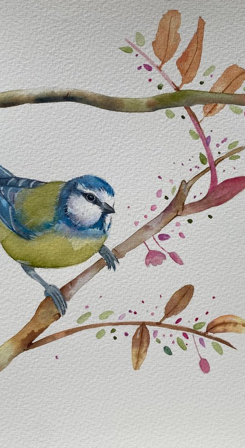 Blue tit and bee by Bethany Taylor