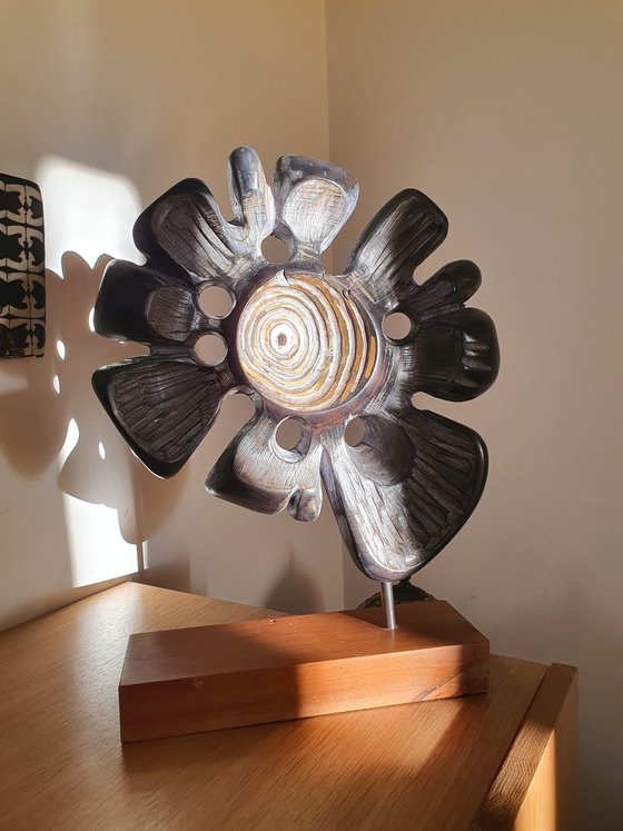 "Supernova"