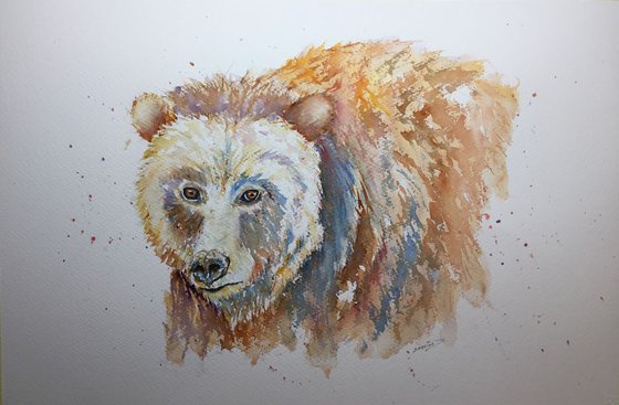 Grizzly portrait
