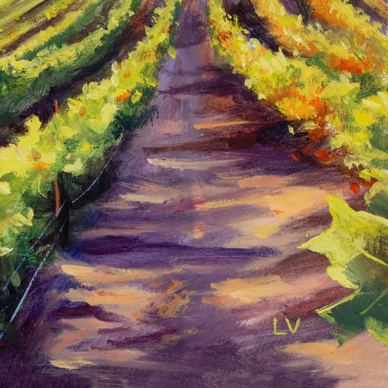 California vineyard landscape