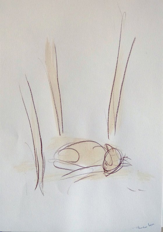 The Sleeping Cat 2, 29x41 cm - EXCLUSIVE to AF