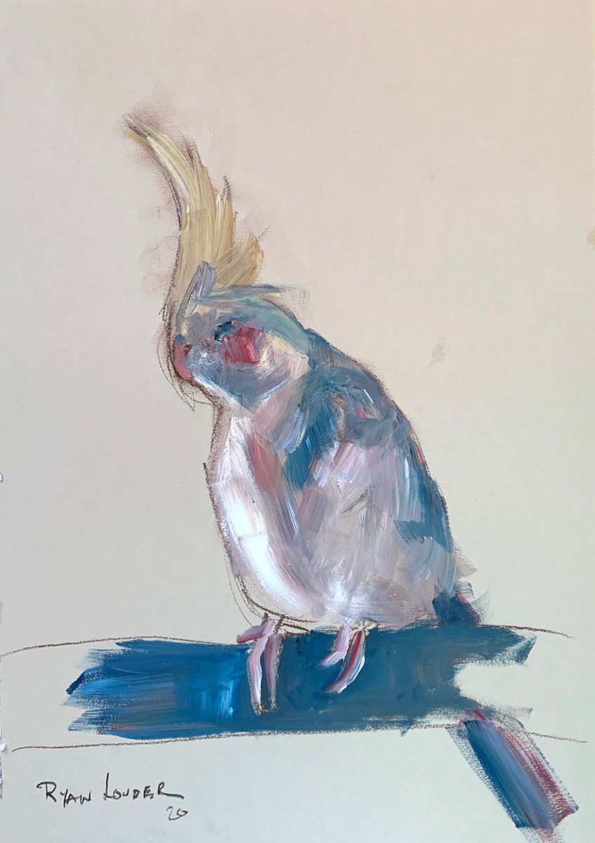 Cockatiel Painting - Sleepy Bird 12x16 by Ryan Louder