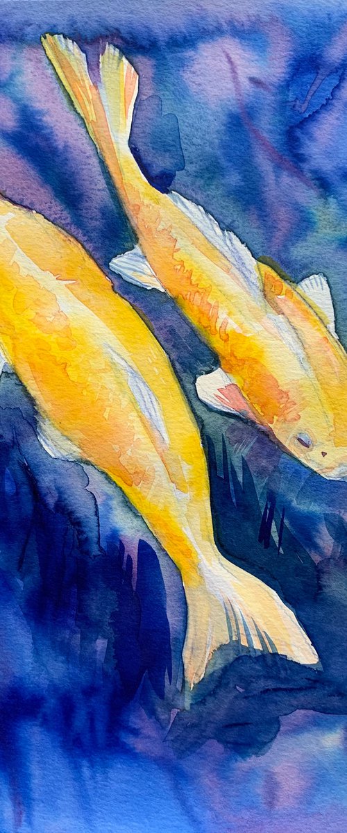 Fish gold koi by Olga Pascari
