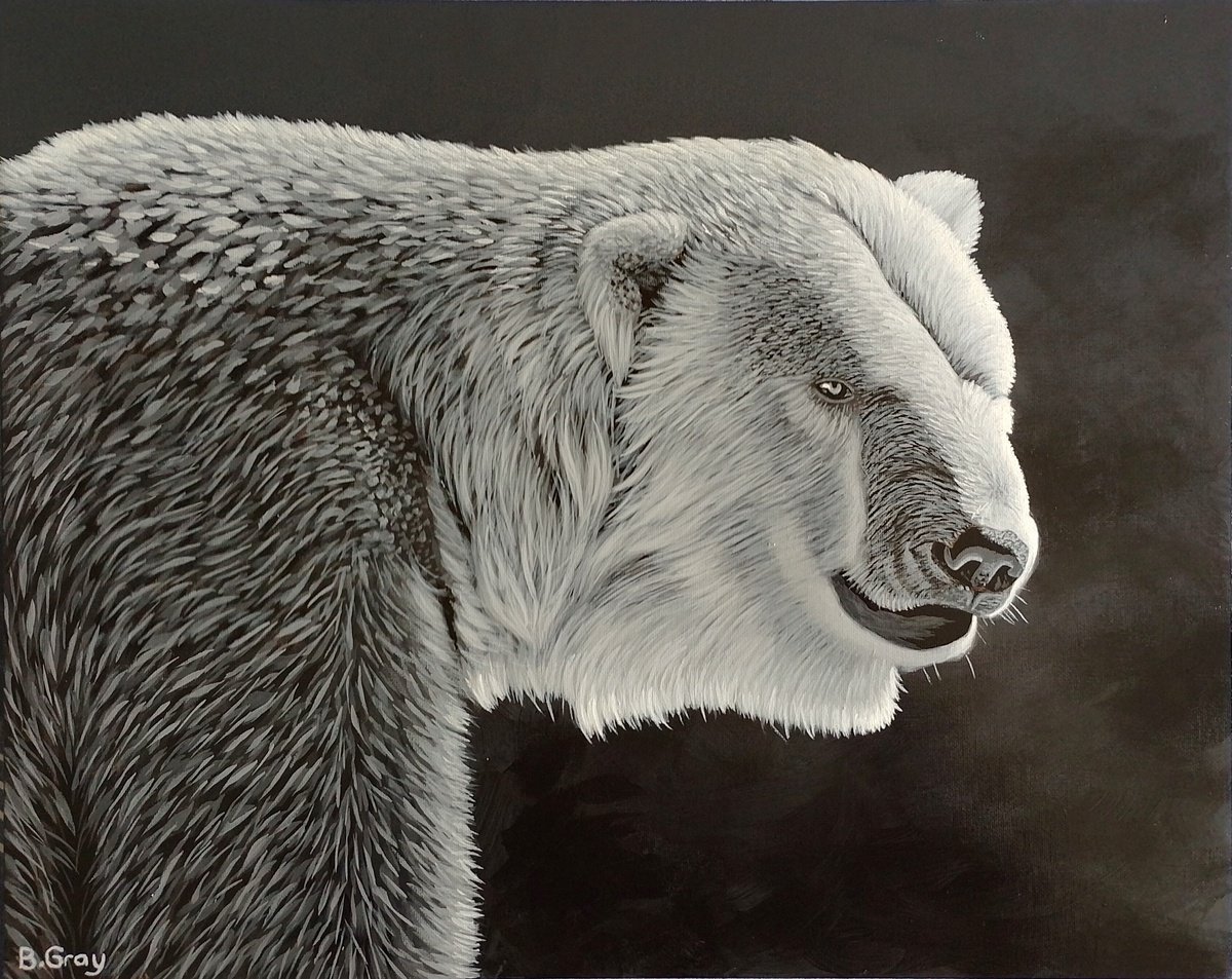 Polar bear in black in white by Barry Gray