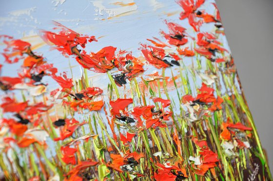 A Meadow Full Of Poppies 4