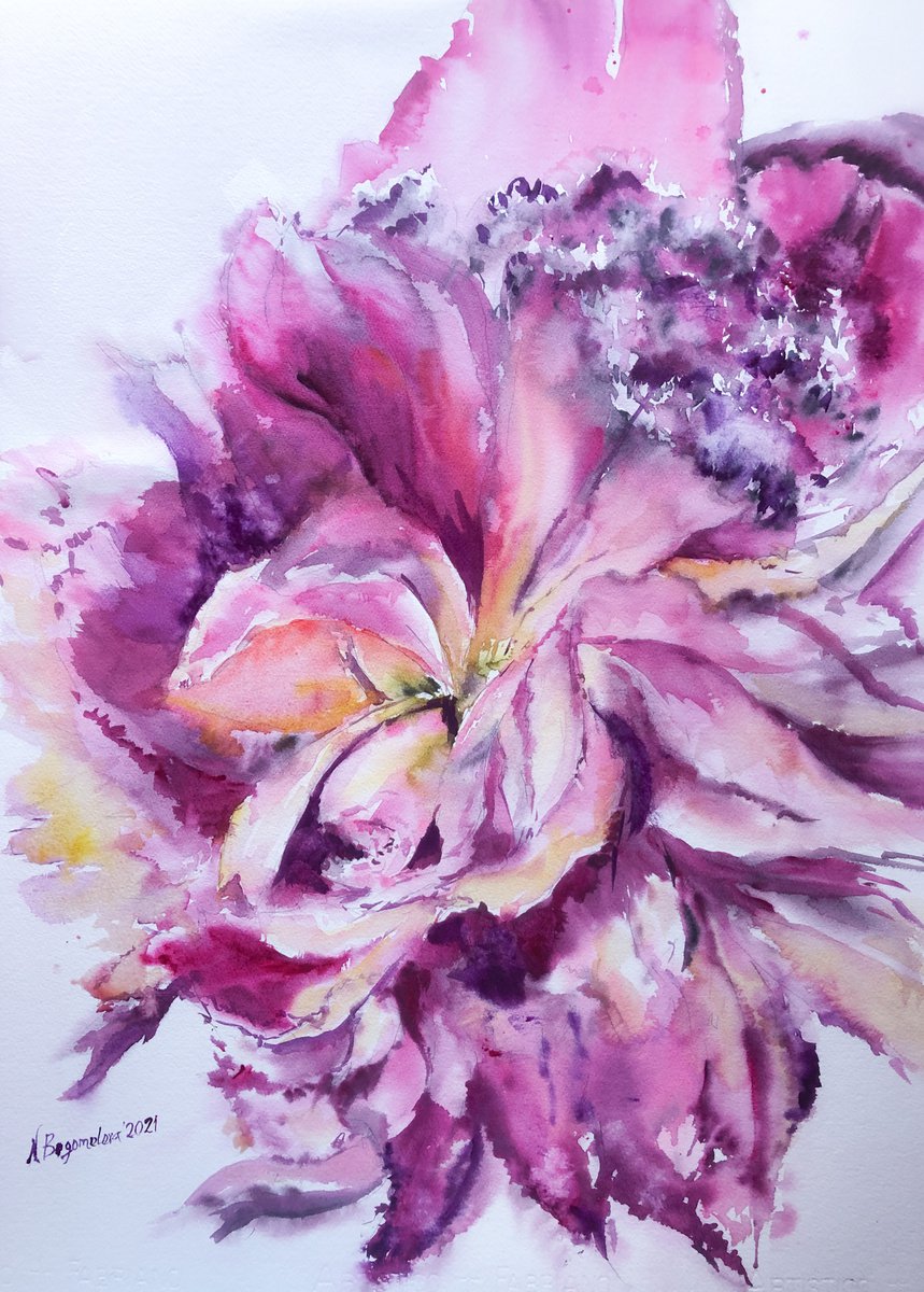 Pink peony. A flower portrait by Nadezhda Bogomolova