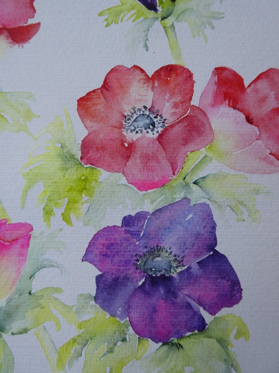 Anemone Promise -SOLD