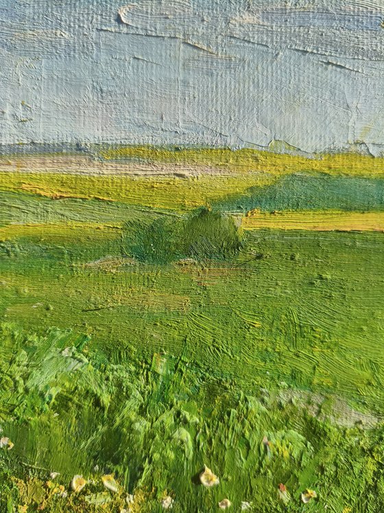 Field of wildflowers