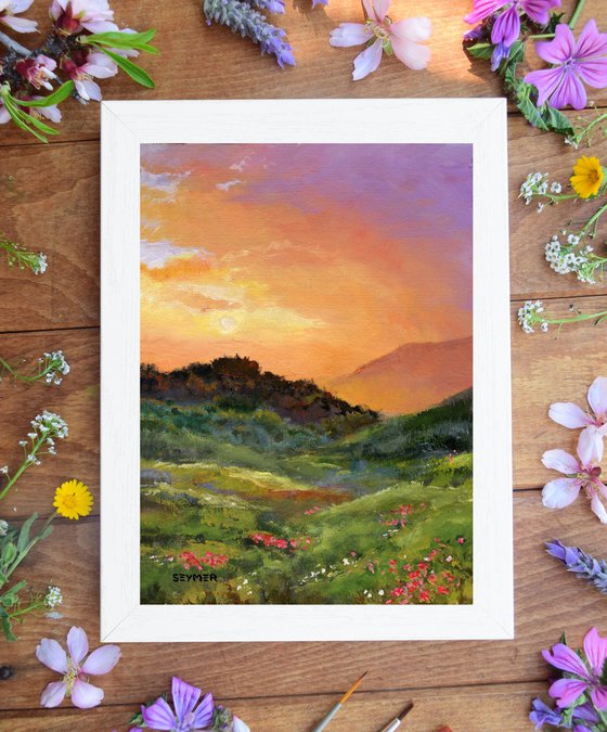 Hills with flowers at sunset