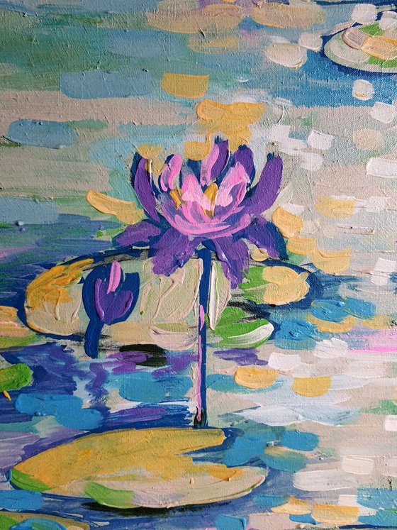 Nymphaea