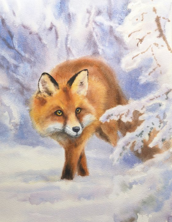 Fox in the Winter Forest - Wary Fox - Red Fox - Fox Watercolor - Fiery Foxes - Fiery Fox